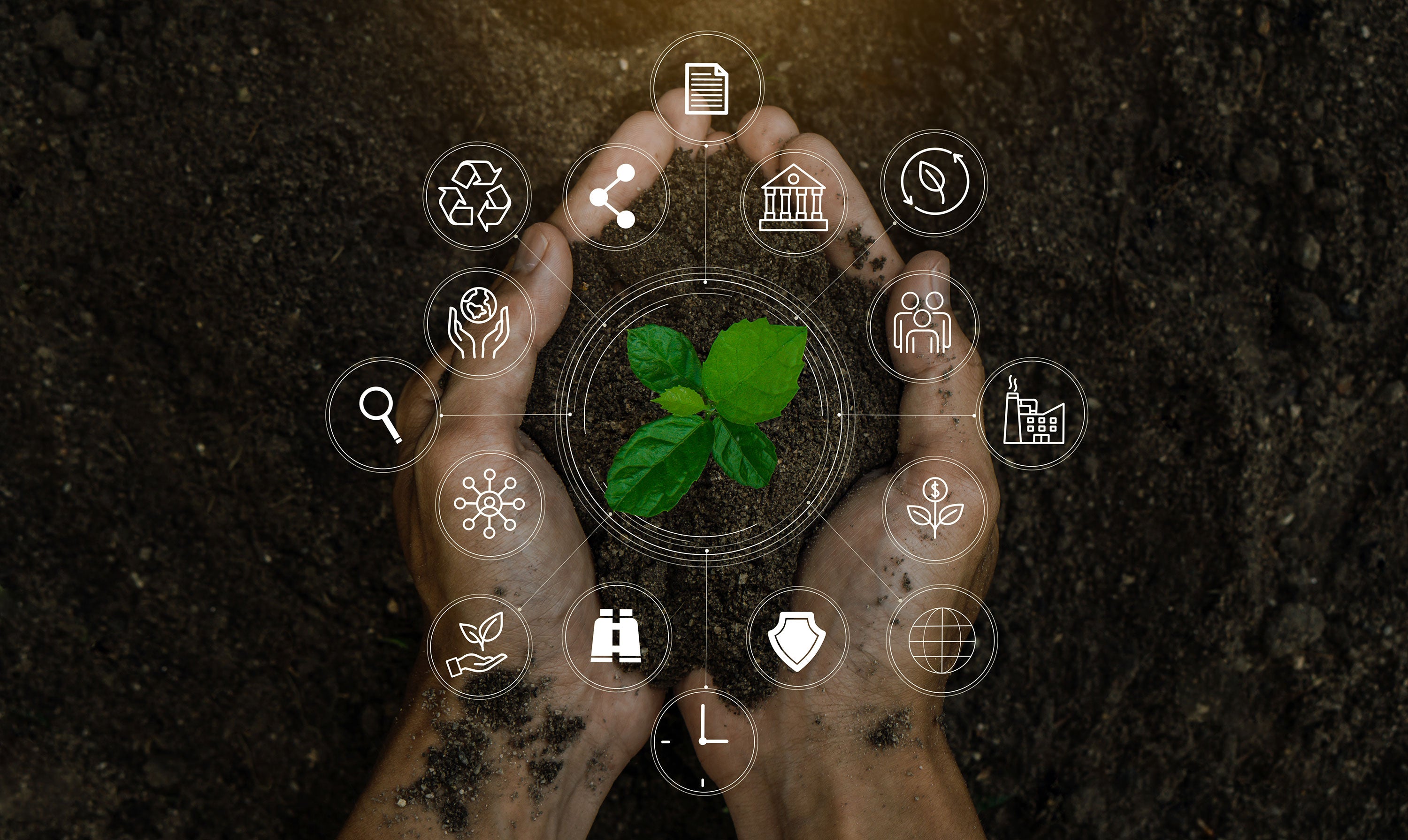Social Awareness